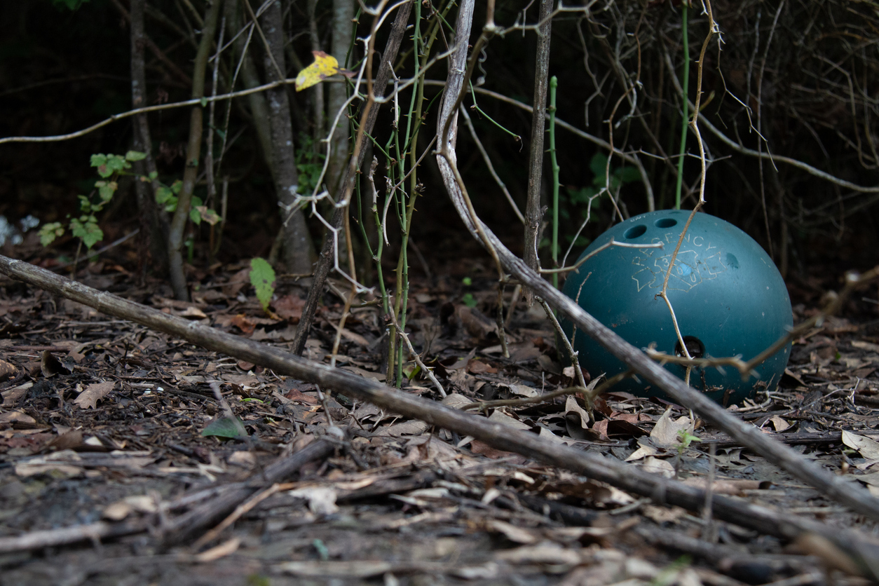 Discarded bowling ball littering the trees
